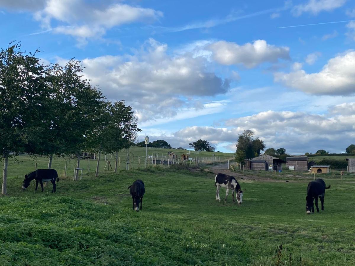 Fairview Farm Holiday Accommodation 14 Luxury Lodges, Cabins, Dog Friendly, Suitable For Couples, Families And Groups, Wedding Guests , Corporate Events, Sleeps 2-65 Guests In Ravenshead, Nottingham Near Sherwood Forest, Set In 88 Acres Dış mekan fotoğraf