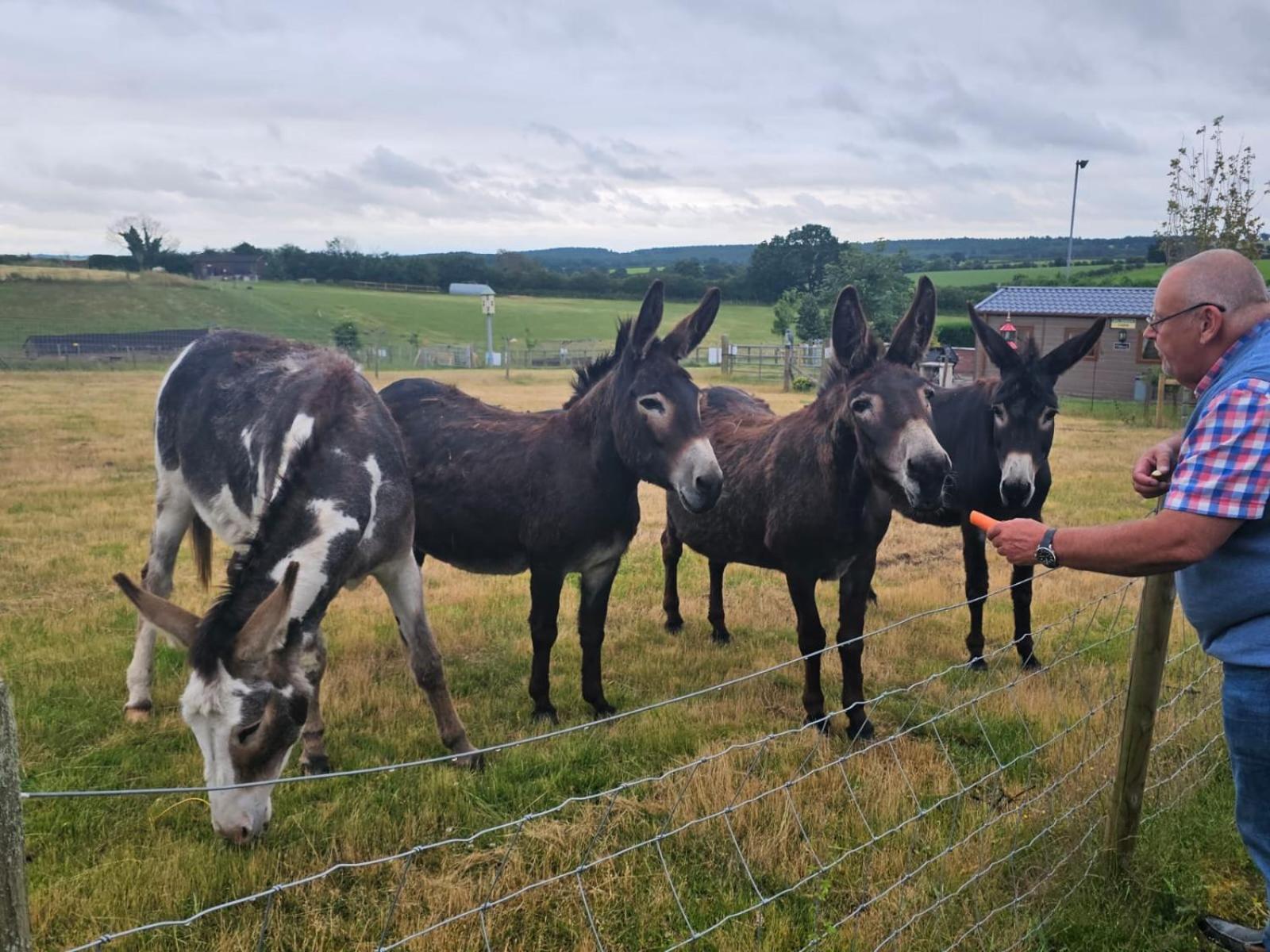 Fairview Farm Holiday Accommodation 14 Luxury Lodges, Cabins, Dog Friendly, Suitable For Couples, Families And Groups, Wedding Guests , Corporate Events, Sleeps 2-65 Guests In Ravenshead, Nottingham Near Sherwood Forest, Set In 88 Acres Dış mekan fotoğraf