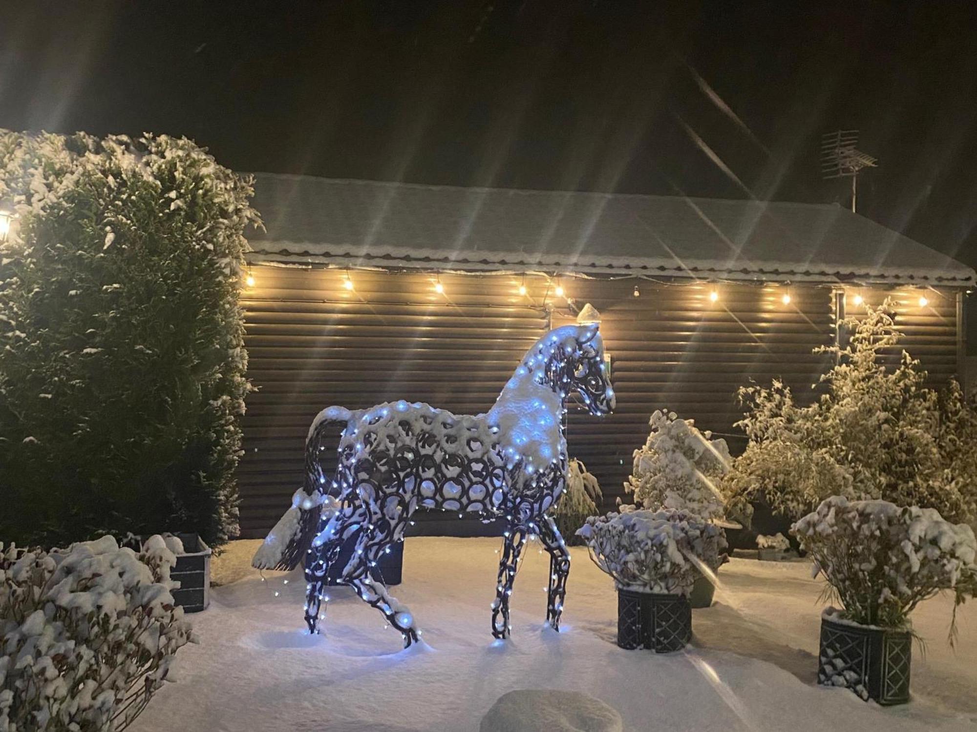 Fairview Farm Holiday Accommodation 14 Luxury Lodges, Cabins, Dog Friendly, Suitable For Couples, Families And Groups, Wedding Guests , Corporate Events, Sleeps 2-65 Guests In Ravenshead, Nottingham Near Sherwood Forest, Set In 88 Acres Dış mekan fotoğraf