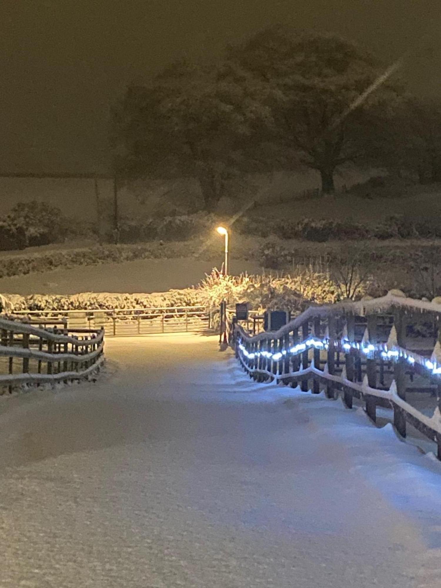 Fairview Farm Holiday Accommodation 14 Luxury Lodges, Cabins, Dog Friendly, Suitable For Couples, Families And Groups, Wedding Guests , Corporate Events, Sleeps 2-65 Guests In Ravenshead, Nottingham Near Sherwood Forest, Set In 88 Acres Dış mekan fotoğraf