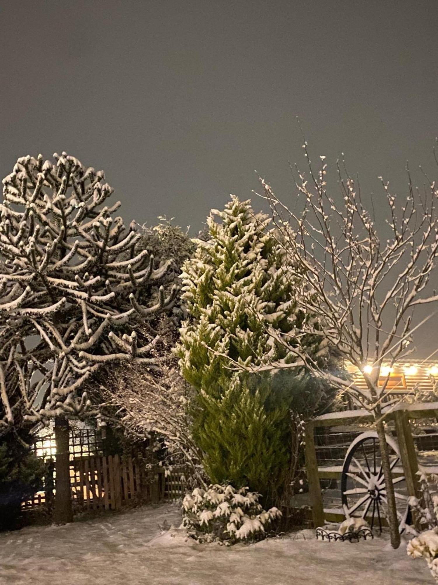 Fairview Farm Holiday Accommodation 14 Luxury Lodges, Cabins, Dog Friendly, Suitable For Couples, Families And Groups, Wedding Guests , Corporate Events, Sleeps 2-65 Guests In Ravenshead, Nottingham Near Sherwood Forest, Set In 88 Acres Dış mekan fotoğraf